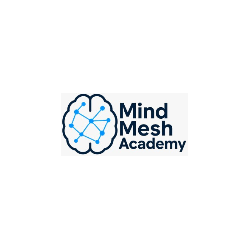 MindMesh Academy