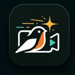 OmniVideo
